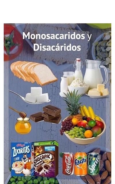 Monosacaridos  y Disacáridos